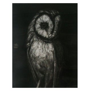 Art Print - Barn Owl by Sylvia Roth For Sale