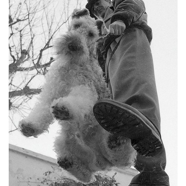 Contemporary Ian Sanderson, Up in the Air, Fine Art Print, 1984 For Sale - Image 3 of 6