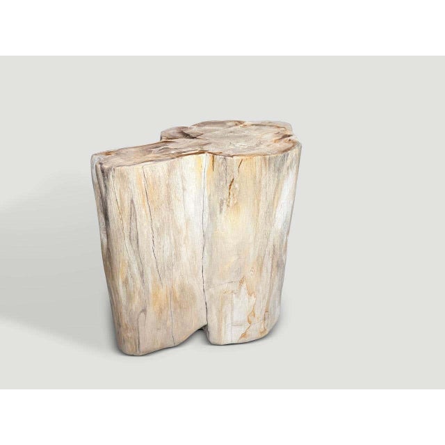 2010s Andrianna Shamaris Impressive High Quality Ancient Petrified Wood Side Table For Sale - Image 5 of 7