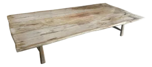 Andrianna Shamaris Live Edge Petrified Wood Coffee Table or Dining Table