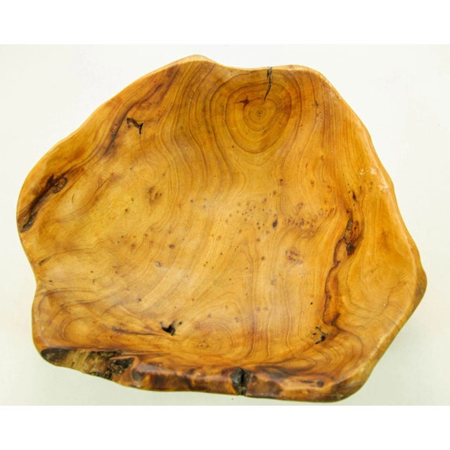 Organic Teak Burl Wood Bowl Natural Free Form Live Edge Sculptural Root Vessel For Sale In Palm Springs - Image 6 of 12