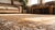 1900s Tan Camel Medallion Antique Khotan East Turkestan Rug 4'4" X 8'9" Handknotted Wool Carpet For Sale In New York - Image 6 of 7