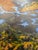 Early 21st Century 21st-Century, Untitled, Aerial Color Photograph of Salt Marsh, Artist Tom Schifanella For Sale - Image 5 of 8