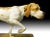 Porcelain Pointer, Early 20th Century For Sale - Image 3 of 13