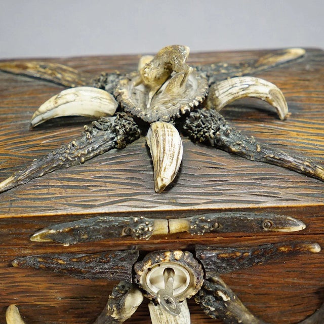 Late 19th Century Wooden Black Forest Casket With Antlers Decoration Circa 1900s For Sale - Image 5 of 8