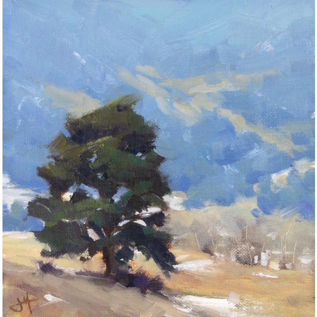 Sentinel captures a solitary tree standing against a vast sky, its rich greens contrasting with the soft blues and muted...