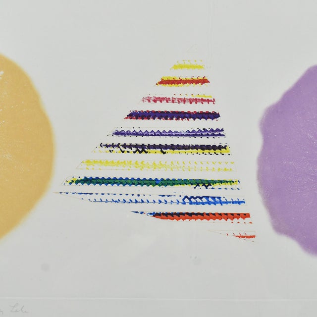 1970s 1970s Abstract "Pyramid Between Two Dry Lakes" Print by James Rosenquist For Sale - Image 5 of 10