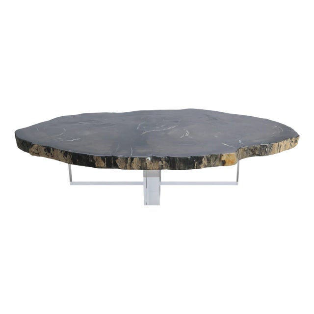 Black Petrified Wood Coffee Table by Xyleia Petrified Wood For Sale
