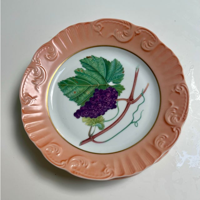 1980s Mottahedeh Salad Plates, Summer Fruit, Vista Allegre- Set of 16 For Sale In New York - Image 6 of 10