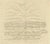 François Valentijn, Letter Written by the King of Batjan, Moluccas, 1726, Paper For Sale - Image 6 of 6