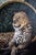 This artwork features a leopard reclined against a lush, textured backdrop, framed by an ornate circular motif that...