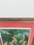 Early 20th Century Vintage Framed Raphael “Holy Family Below the Oak” Renaissance Art Print For Sale - Image 5 of 10