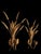 Frederick Cooper Vintage Antique Gold Tole Sheaf of Wheat Metal Wall Candle Holders- A Pair For Sale - Image 4 of 7