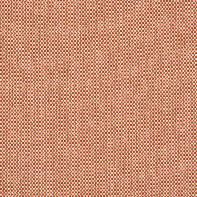 Contemporary SAMPLE - Schumacher Brock Indoor/Outdoor Fabric In Orange For Sale - Image 3 of 3