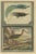 Colored Print of Birds of Paradise and the Eurasian Woodcock, 1726 For Sale - Image 6 of 6