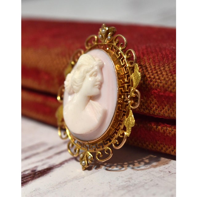 Antique 14k Conch Shell Cameo With Seed Pearls Brooch and Pendant For Sale - Image 4 of 13