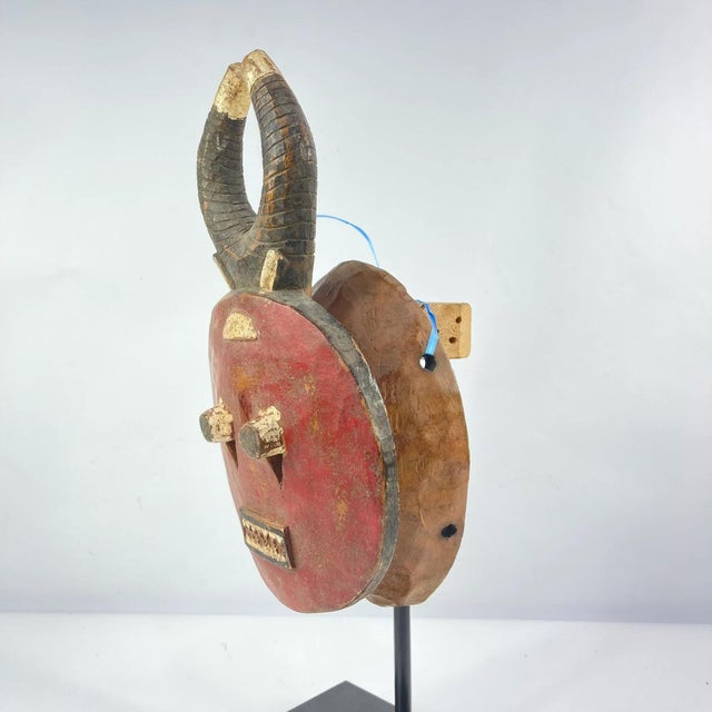 African Early 20th Century Baule Goli Mask with Horns Kplekple For Sale - Image 3 of 7