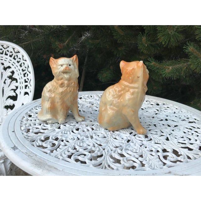 For the serious collector a pair of early 19th century porcelain Cats. These are from the Staffordshire region in England...