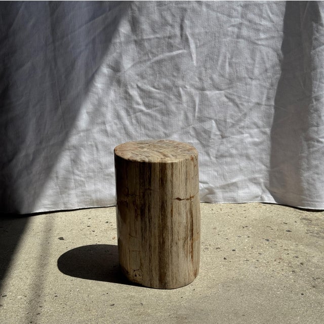 Small Side Table in Petrified Wood, 1980s For Sale - Image 11 of 18