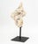 Druzy Quartz Crystal Mineral Specimen, mounted on a black patinated metal stand. Overall: 18.5" H x 10" W x 7" D....