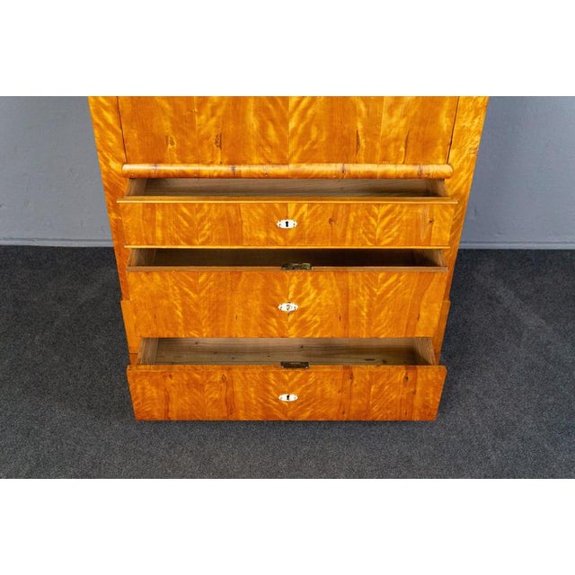 Biedermeier Birch & Elm Secretary For Sale - Image 14 of 18