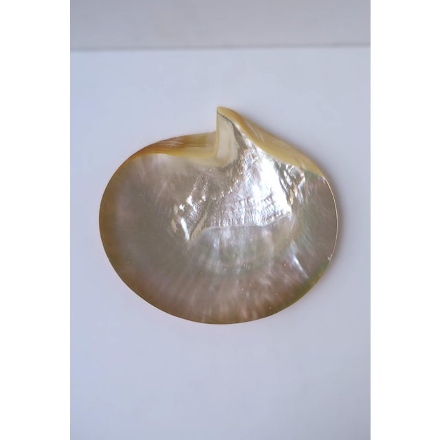 Late 20th Century Mother of Pearl Dish Spoons Caviar - 3 Pieces For Sale - Image 5 of 8