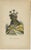 European School Artist, Pacific Islanders & Polynesian Costume, 1852, Print, Set of 10 For Sale - Image 9 of 13
