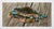 Blue Crab Painting by S. Park | Original Coastal Artwork on Canvas | 12 X 24 For Sale - Image 4 of 4