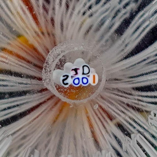 John Deacons Scotland 2001 Pansy Millefiori Latticino Art Glass Paperweight For Sale - Image 9 of 9