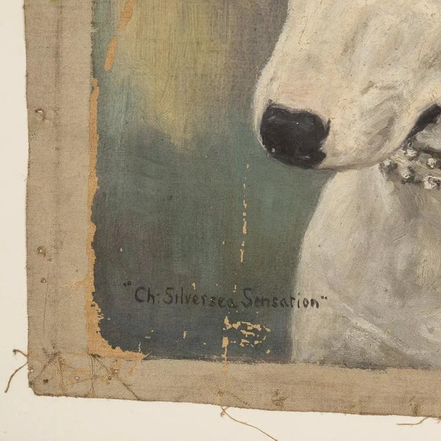 Frederick Thomas Daws, Antique English Bull Terrier, Oil on Canvas, 1920, Framed For Sale - Image 6 of 13
