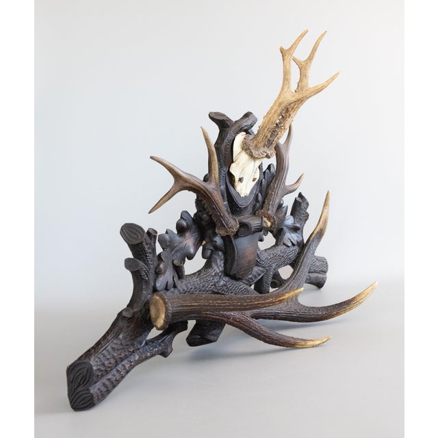 19th Century Black Forest Antlers Trophy Mount Mantel Wall Plaque For Sale - Image 9 of 11