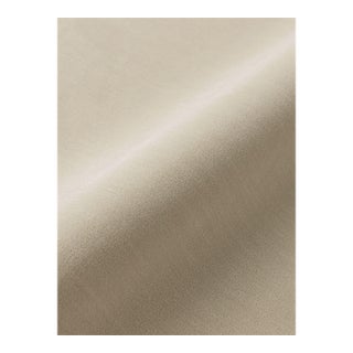 The House of Scalamandré Tudor Velvet Fabric, Putty For Sale