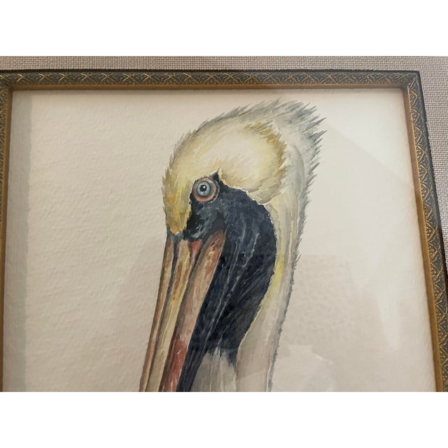 Hand Painted Watercolor of a Pelican Head, Framed For Sale - Image 4 of 7