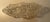 Antique Cut Glass Celery Dish - Relish Tray - 13” For Sale In Philadelphia - Image 6 of 10