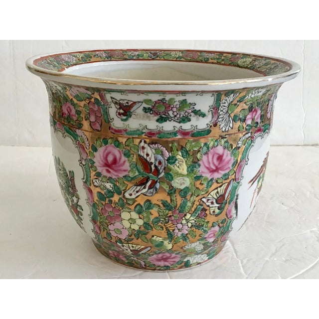 Rose Medallion Cachepot Small For Sale - Image 4 of 11