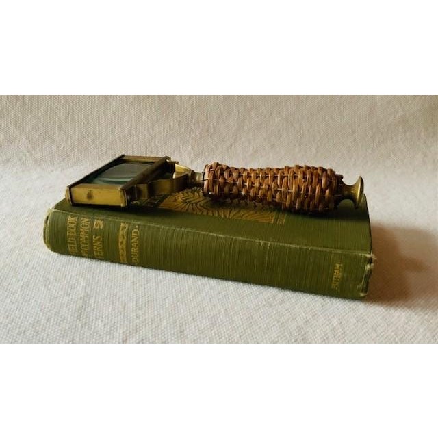 Antique Field Book of Common Ferns - 1928 First Edition For Sale - Image 6 of 14