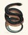Vintage Rainbow Snake Giclée For Sale
