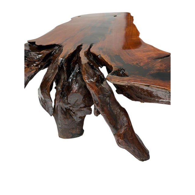 Brutalist Tree Root Coffee Table, 1970s For Sale - Image 9 of 14