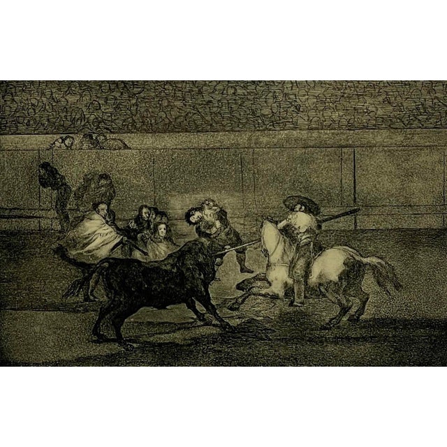 Early 20th Century Etching of Matador Riding a Horse Fighting a Bull ...