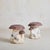 French Brown + Ivory Concrete Mushroom Garden Sculpture, 1960s For Sale - Image 9 of 18