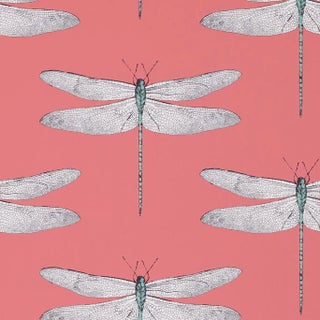Harlequin Demoiselle Wallpaper in Coral/Mint - a Sample For Sale