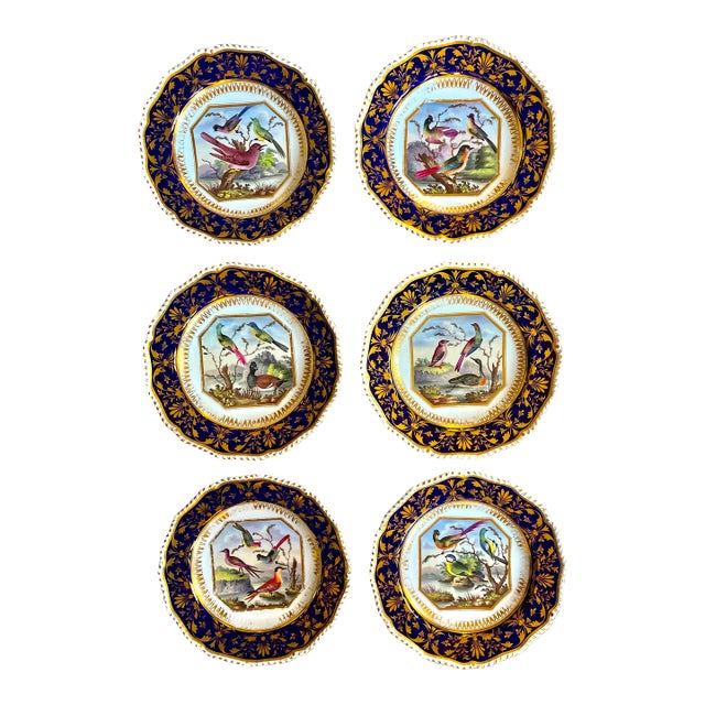 Antique English Bloor Derby Cobalt and Gold Fancy Birds Plates by Richard Dodson, Regency Circa 1815 -Set of 6 For Sale