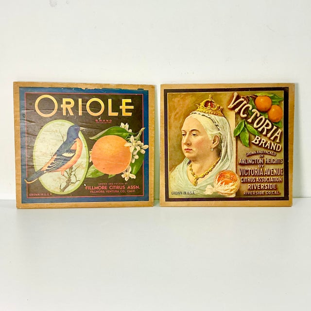 Navy Blue 1930s Vintage Boho Chic Americana Art Deco Orange Crate Ephemera Advertisement Art For Sale - Image 8 of 10