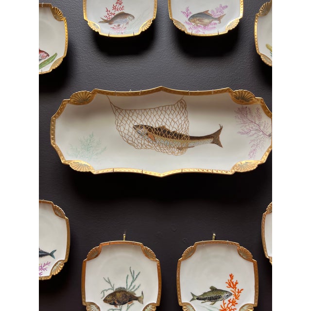 Antique Hand Painted Fish Plates Set 11 Pieces Chairish