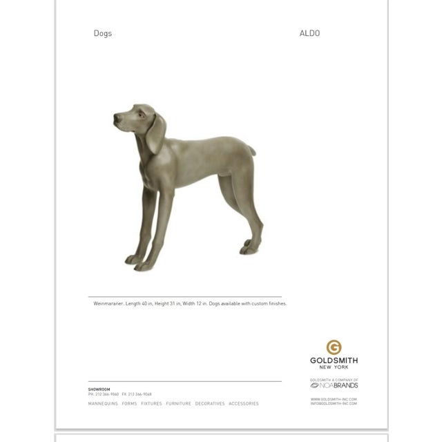 Established in 1927, Goldsmith Inc. New York was the gold standard for luxury retail displays, celebrated by top visual...