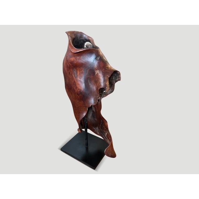 Andrianna Shamaris Ancient Wood Torso For Sale In New York - Image 6 of 18