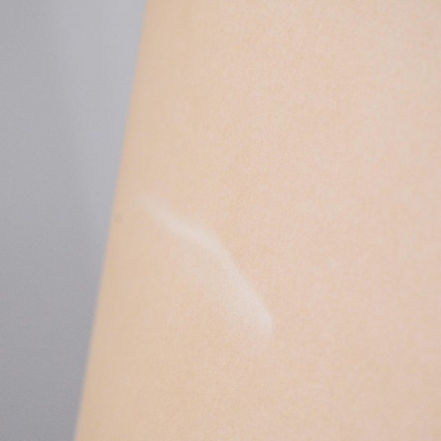 Gilda Floor Lamp from Pallucco, Italy, 1990s For Sale - Image 18 of 18