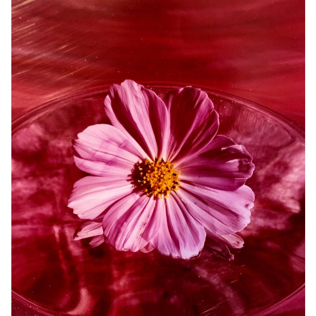 Pink Cosmo, Photo, The Tappen House, Little Compton, RI (Rhode Island). Hand signed and numbered. small edition of 15,...