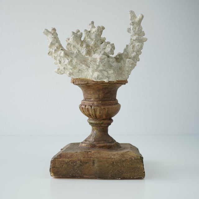 Faux Coral Assemblage on an Antique Italian Urn Decorative Sculpture For Sale - Image 12 of 15