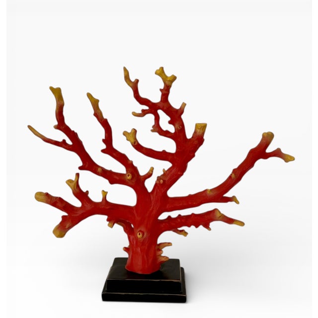 Vintage Red Coral Branch Sculptures - Set of 2 For Sale In Los Angeles - Image 6 of 9